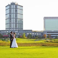 weddings24